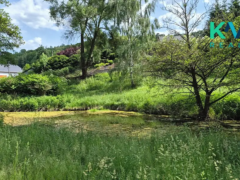 Pronájem zahrady 3000 m², Sadov – náhled fotky 1