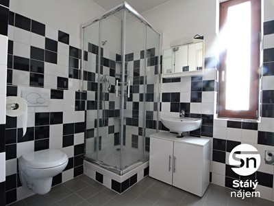 Pronájem bytu 1+kk 42 m²