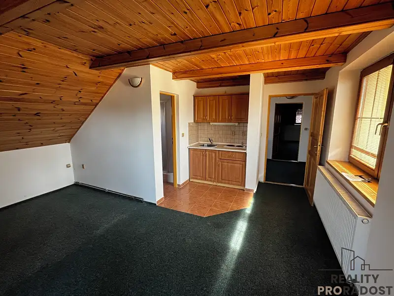 Prodej apartmánů 160 m², Podhradní Lhota – náhled fotky 2