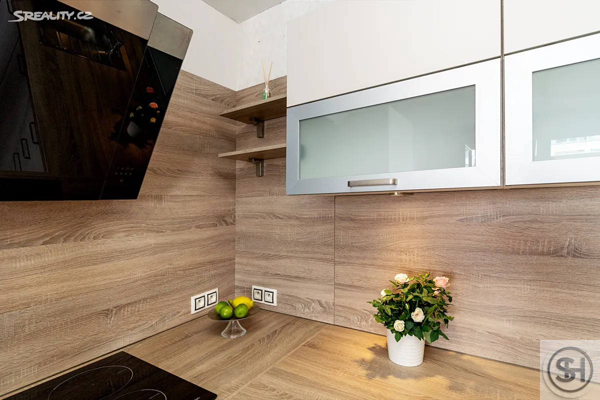 Pronájem bytu 1+kk 44 m² – pohled 5