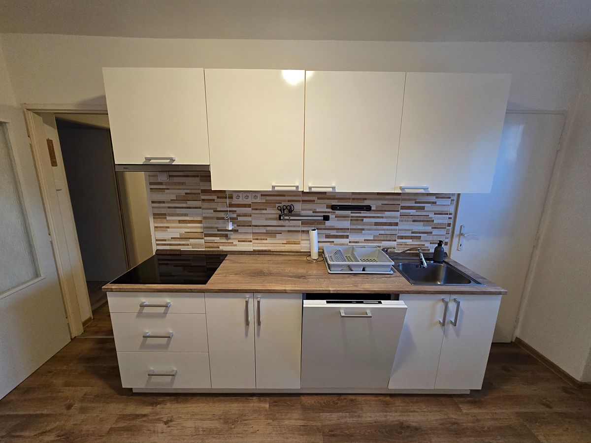 Pronájem bytu 2+1 60 m² – fotografie 4