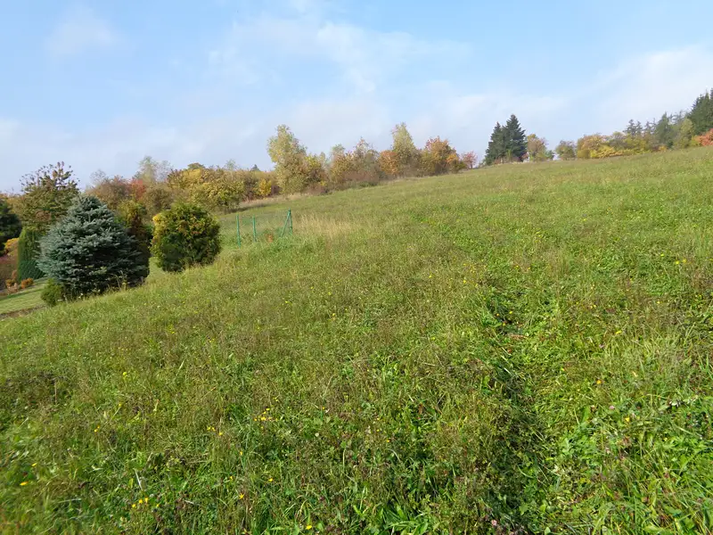 Prodej stavebního pozemku 11344 m², Kosov – náhled fotky 1