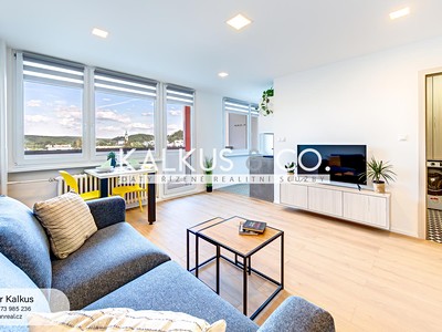 Pronájem bytu 1+kk 35 m²