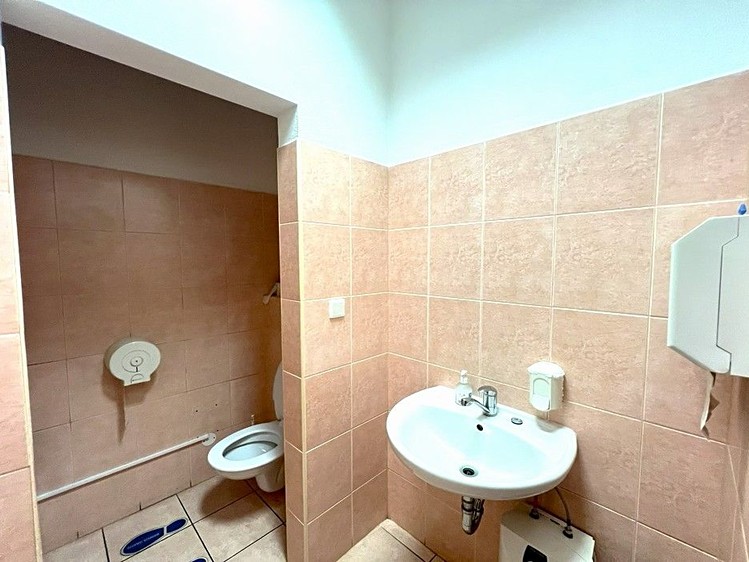 Pronájem komerčního prostoru, 273 m² (18 z 30)