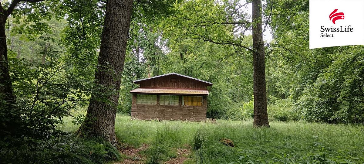 Prodej chaty 60 m², pozemek 205 m² – fotografie 2