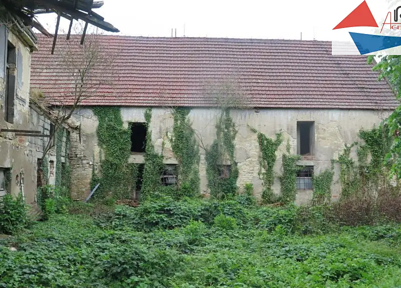 Prodej rodinného domu 900 m², pozemek 2400 m², Vrutice – náhled fotky 3