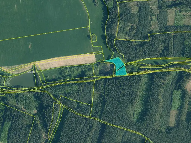 Prodej louky 2963 m², Bor – náhled fotky 2