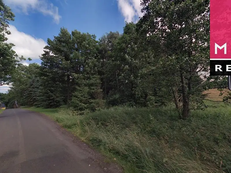 Prodej louky 19580 m², Stráž nad Ohří – náhled fotky 3
