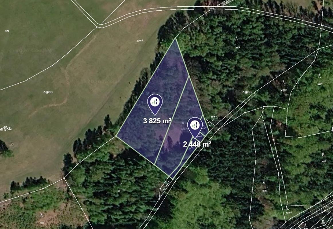 Prodej pole 12355 m² – fotografie 2