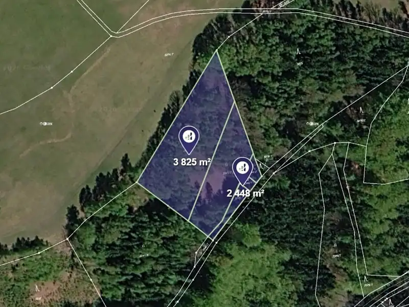 Prodej pole 12355 m², Jablonec nad Jizerou – náhled fotky 2