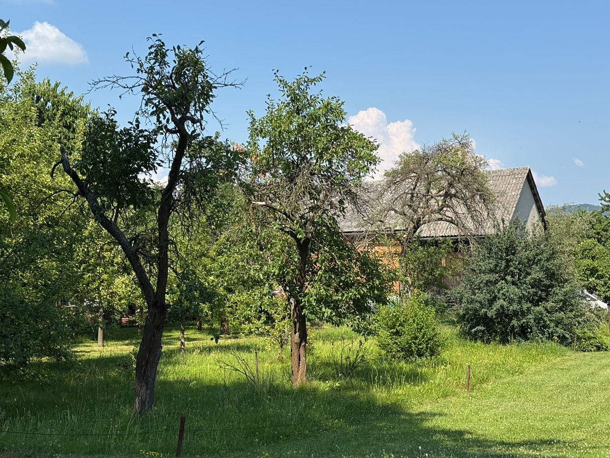 Prodej stavebního pozemku 529 m² – fotografie 3