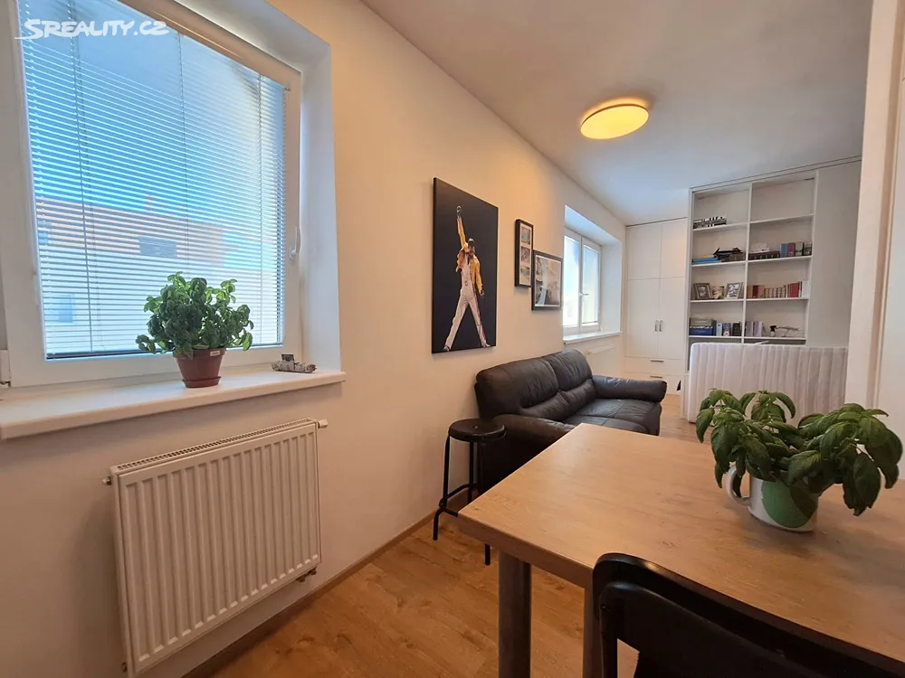 Pronájem bytu 1+kk 35 m² – pohled 5