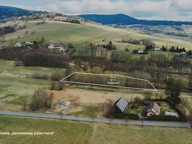 Prodej pole 6487 m², Dolní Morava – náhled fotky 2