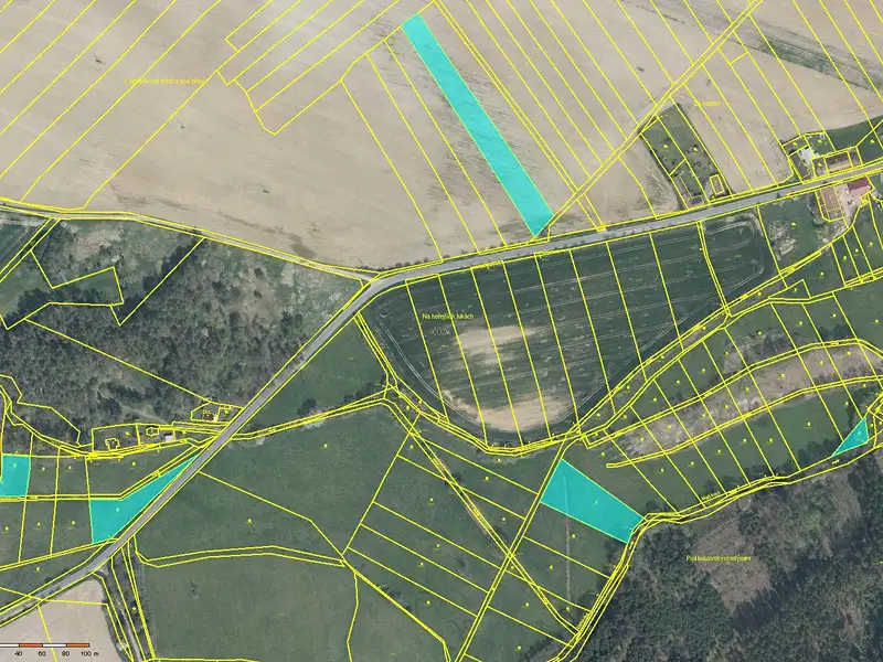 Prodej pole 32947 m², Merklín – náhled fotky 2