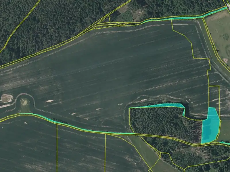 Prodej louky 13046 m², Úněšov – náhled fotky 2
