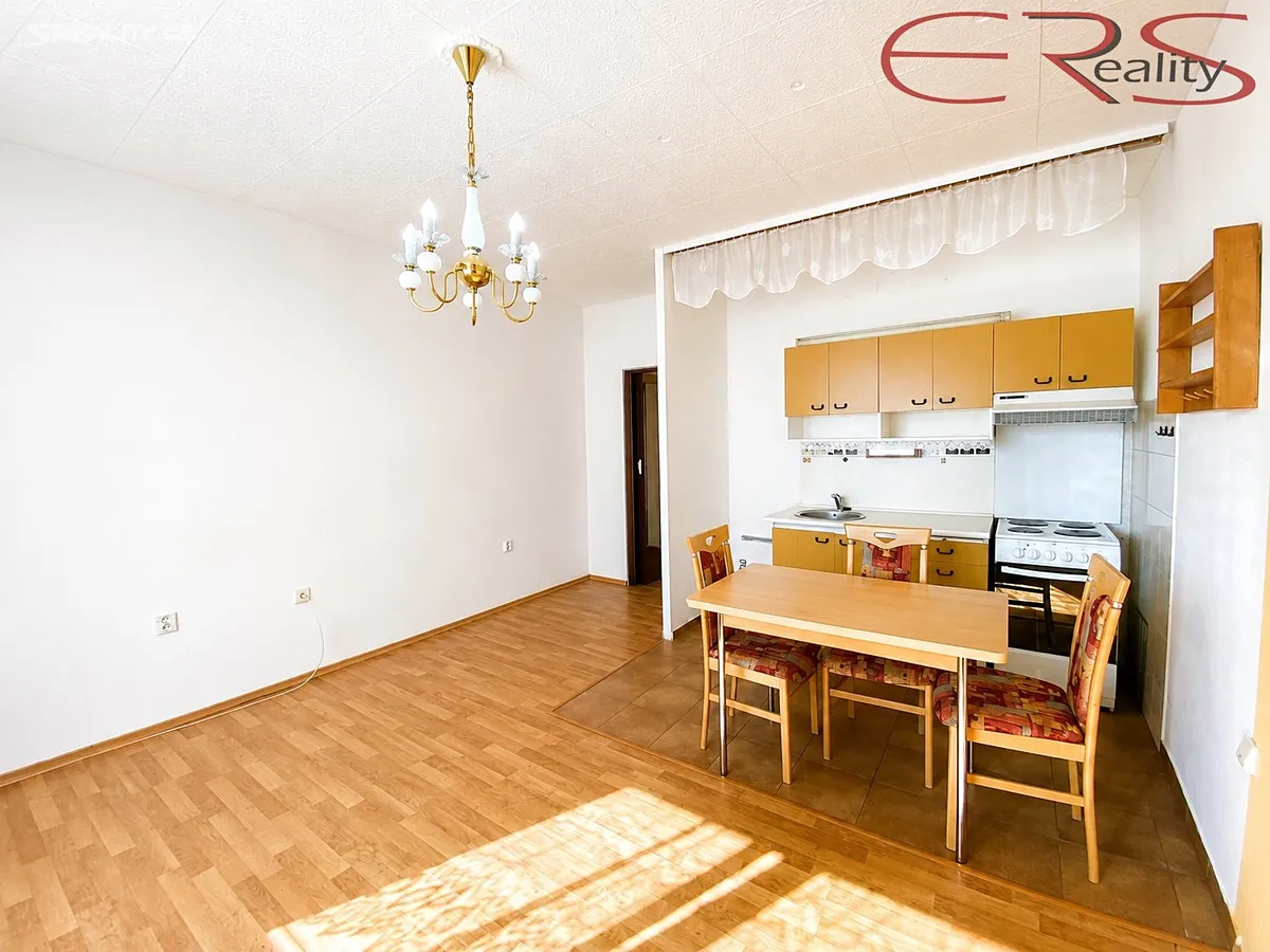 Pronájem bytu 2+kk 45 m² - Widok 2