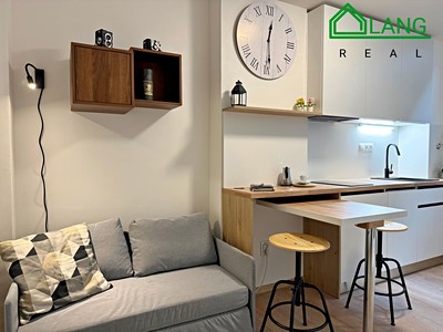 Pronájem bytu 1+kk 28 m²