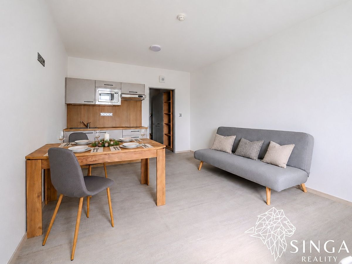 Pronájem bytu 1+kk 28 m²