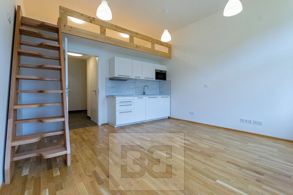 Pronájem bytu 1+kk 30 m²