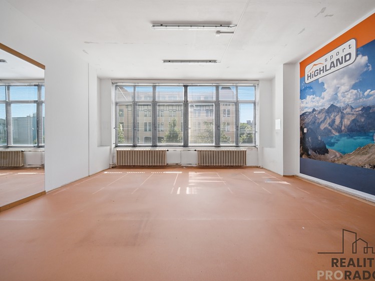 Комерційне приміщення в оренду, 317 м² (12 з 30)