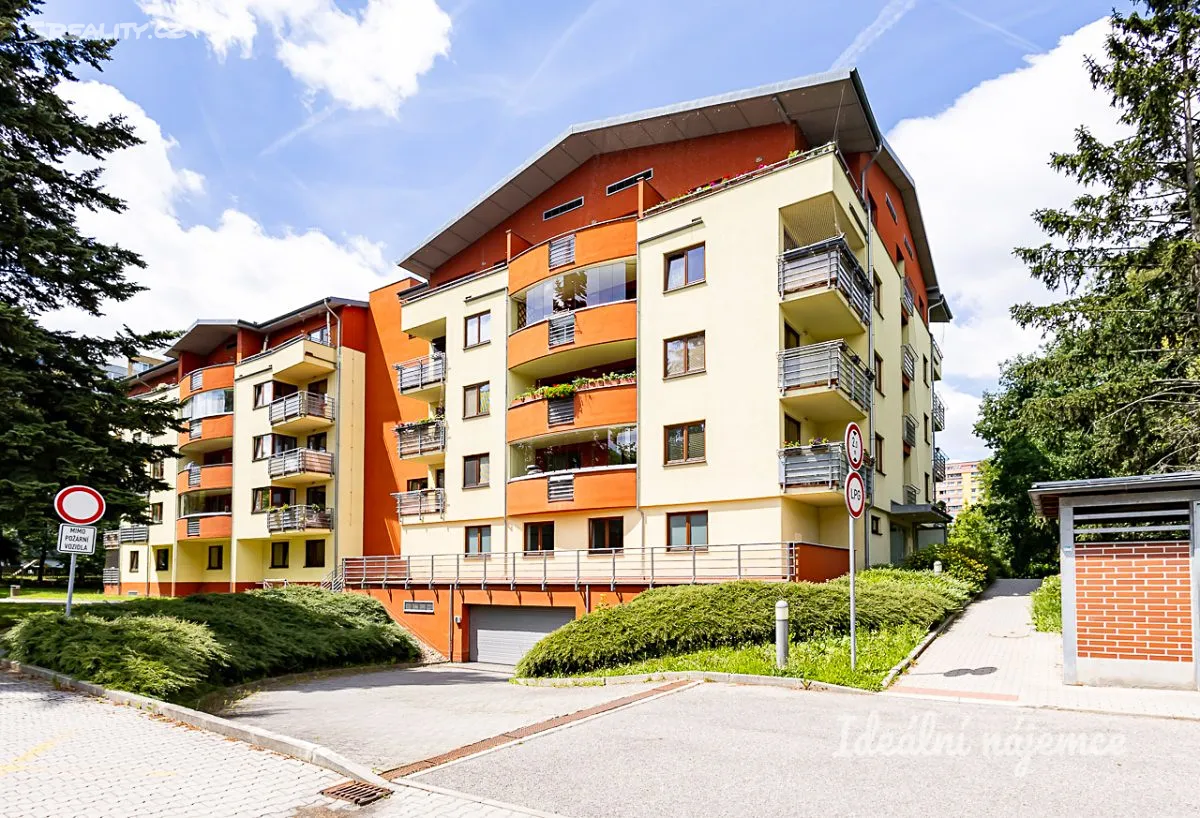Pronájem bytu 2+kk 55 m², Ústavní