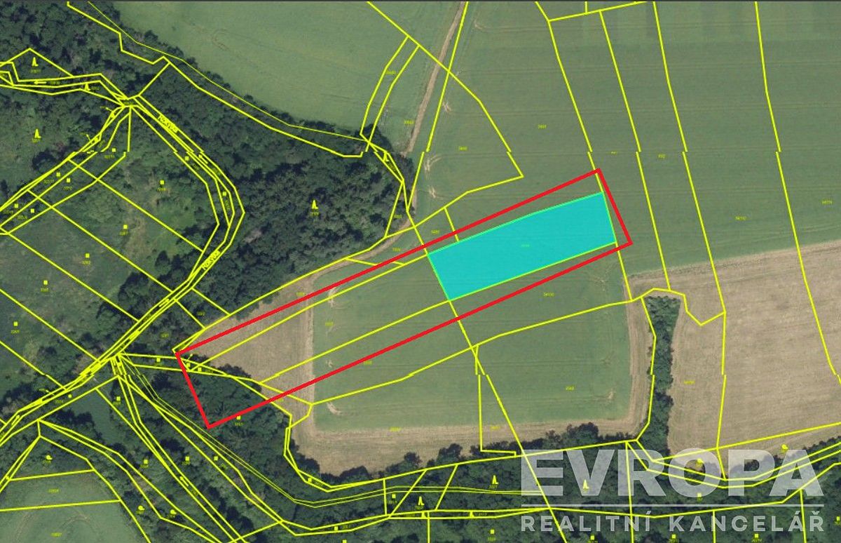 Prodej pole 6844 m², Křenice – fotka 1 z 3