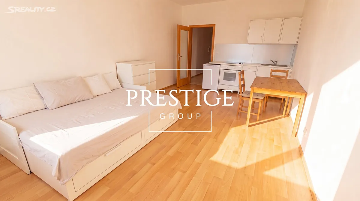 Pronájem bytu 1+kk 40 m² - Widok 4