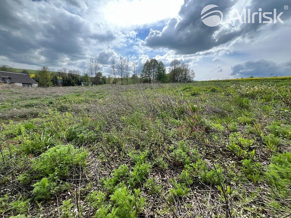 Prodej stavebního pozemku 3978 m² – fotografie 3