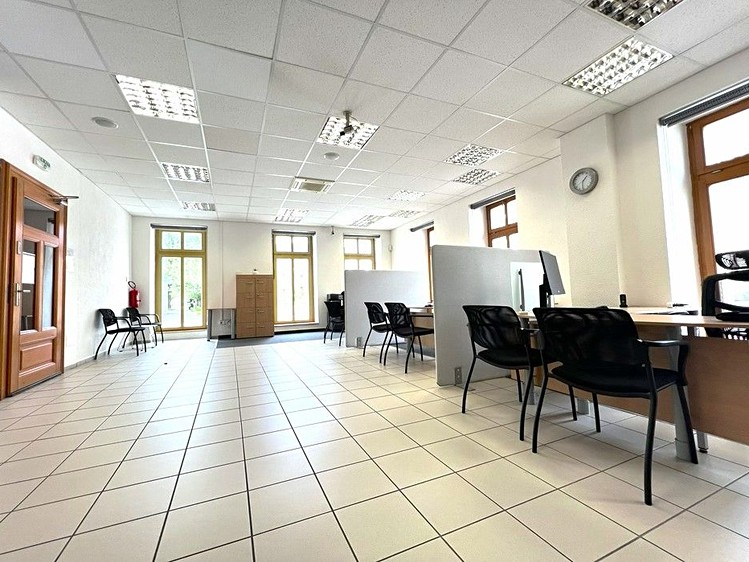Pronájem komerčního prostoru, 273 m² (7 z 30)