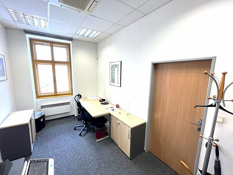 Pronájem komerčního prostoru, 273 m² (15 z 30)