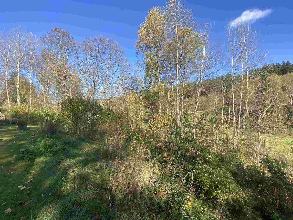 Prodej pozemku 449 m² – fotografie 2