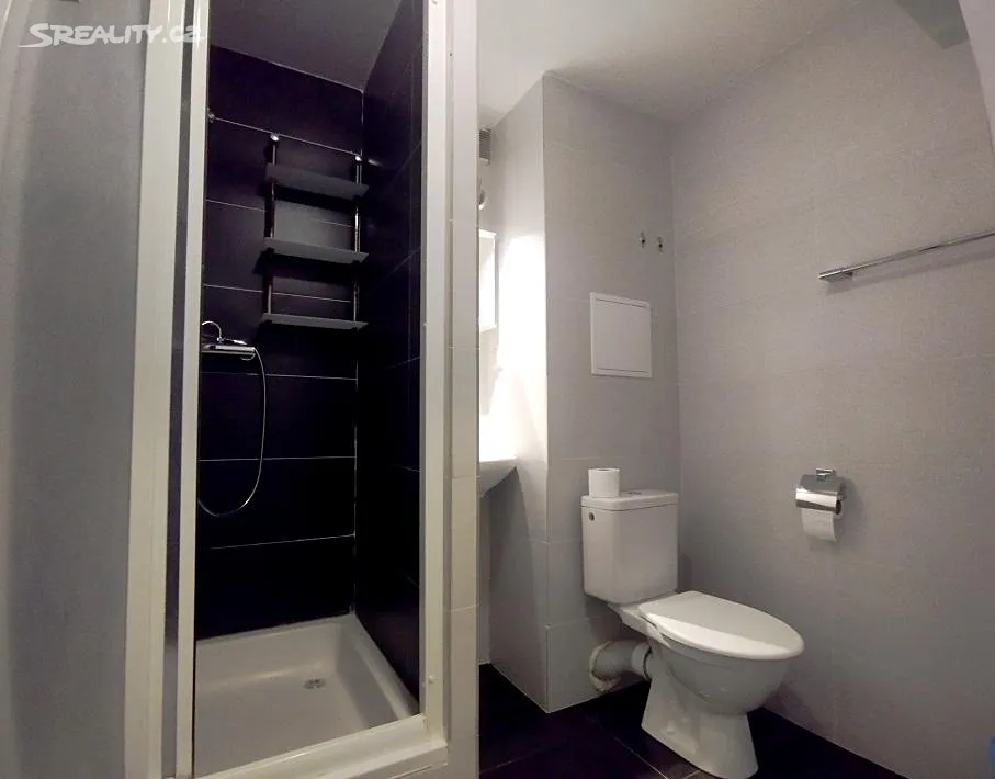Pronájem bytu 2+kk 36 m² – další