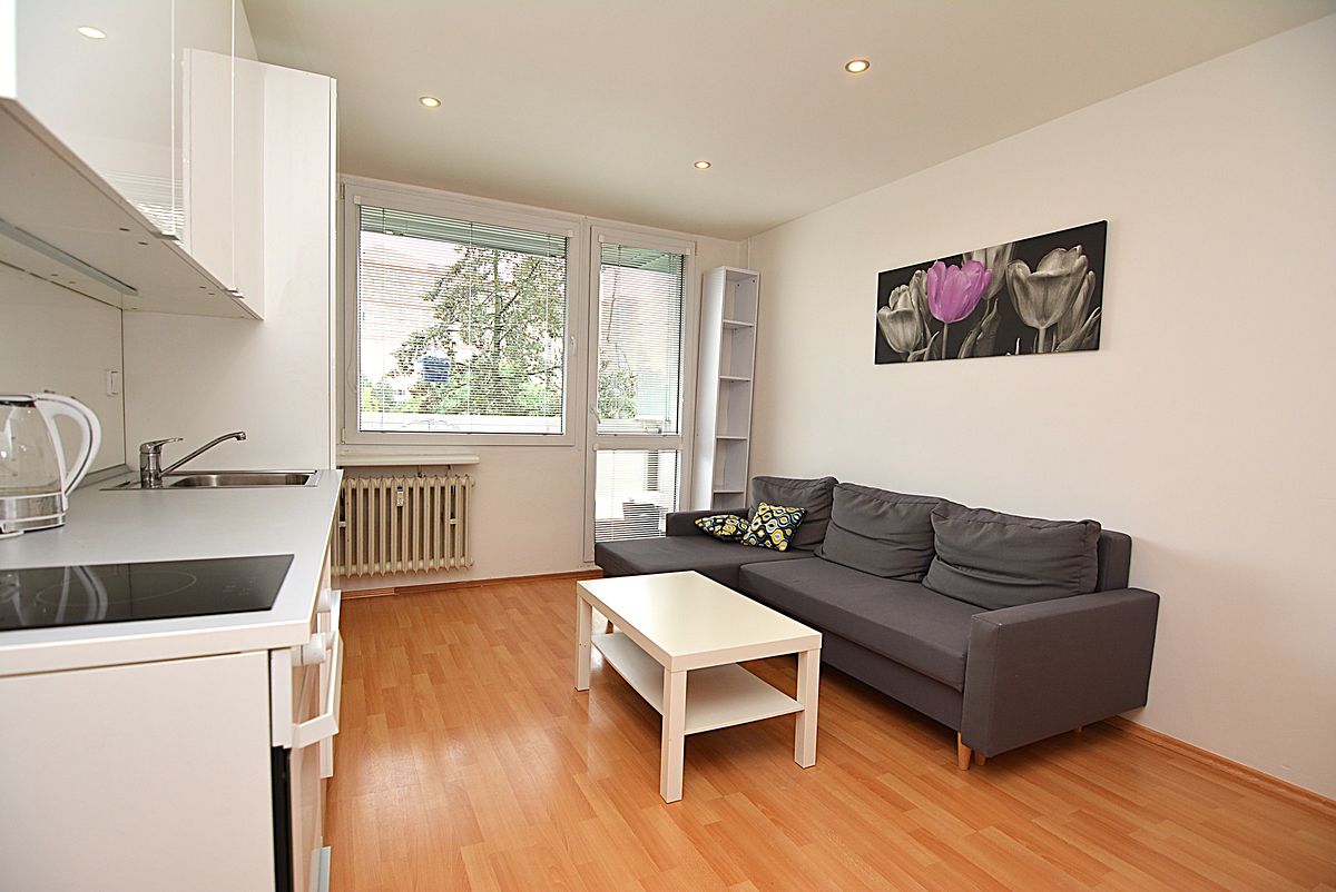 Pronájem bytu 1+kk 33 m²