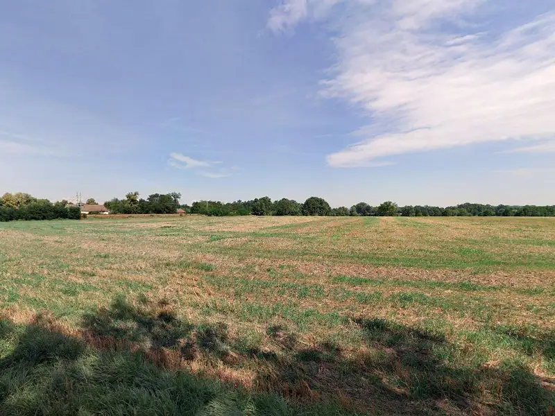 Prodej louky 10822 m², Čejetice – náhled fotky 3