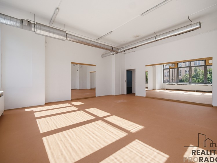 Комерційне приміщення в оренду, 317 м² (13 з 30)