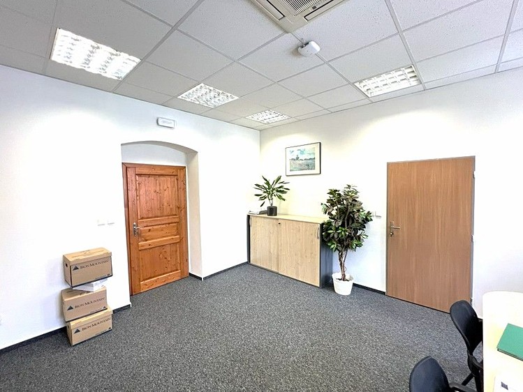 Pronájem komerčního prostoru, 273 m² (13 z 30)