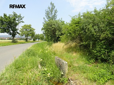 Prodej  lesa 3 871 m²