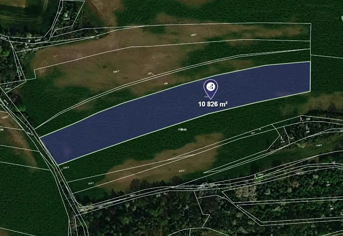 Prodej podílu 1/2 pole 7827 m²