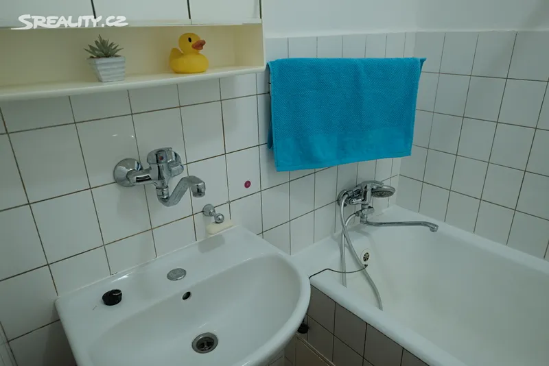 Pronájem bytu 1+kk 32 m² - More