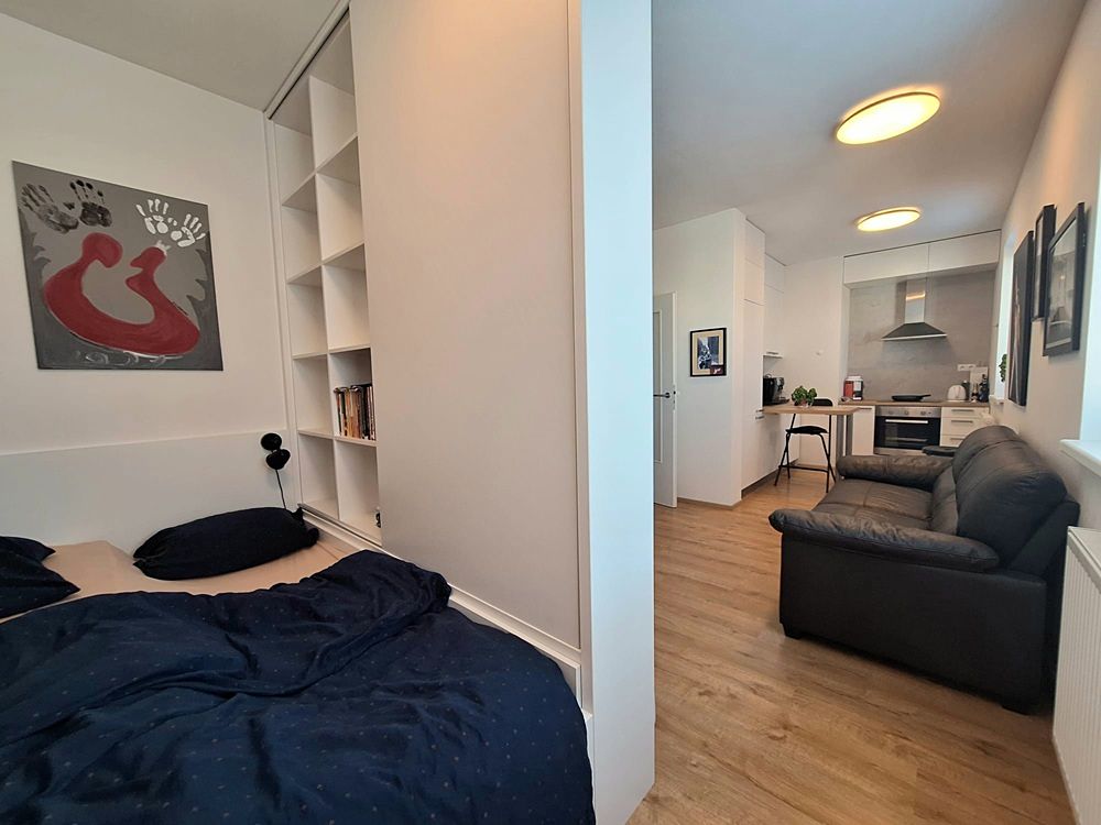 Pronájem bytu 1+kk 35 m²