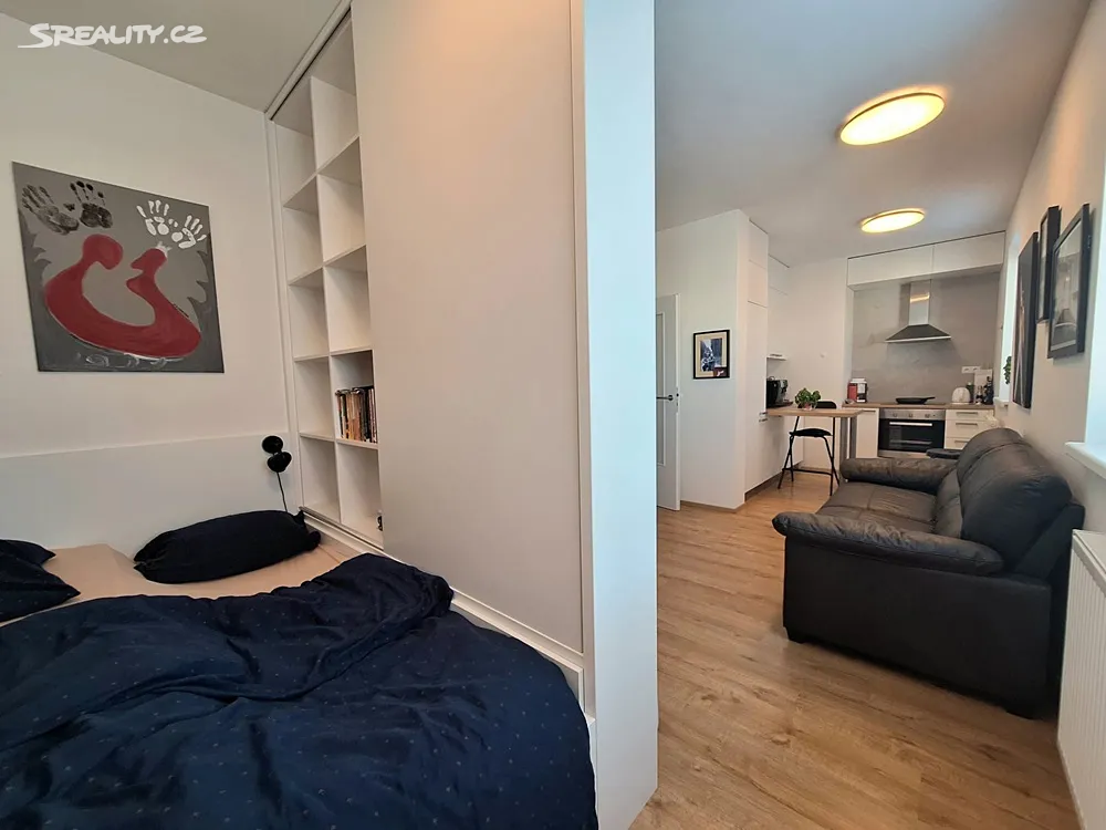 Pronájem bytu 1+kk 35 m², Brno