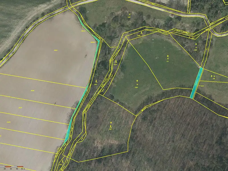 Prodej pole 1760 m², Čejetice – náhled fotky 1