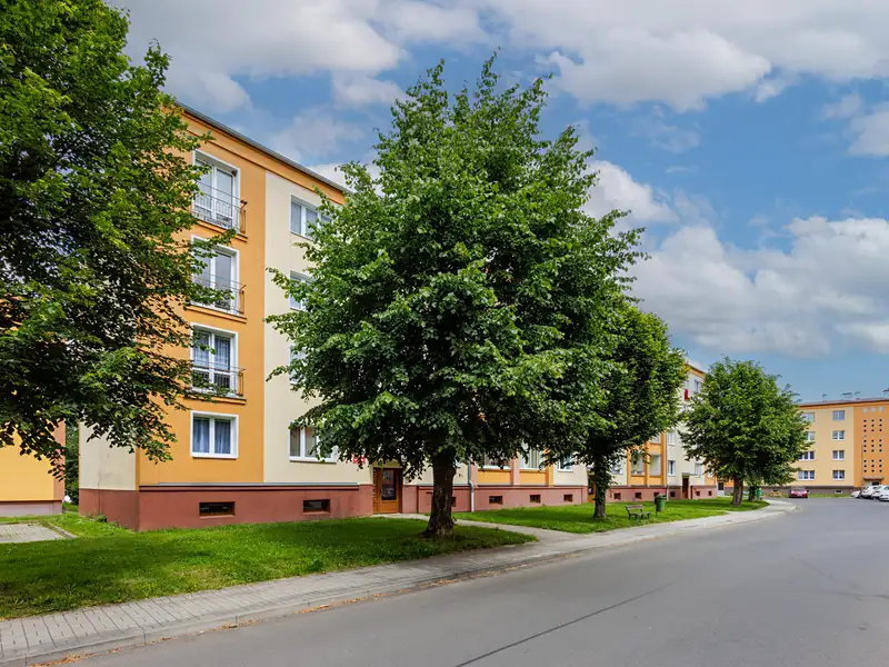 Pronájem bytu 2+1 57 m², Nová Role – náhled fotky 3
