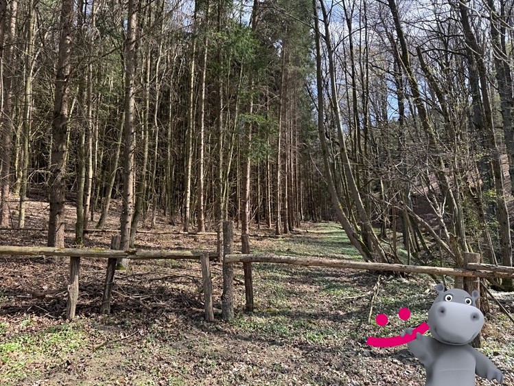 Prodej pozemku, 6 656 m² (3 z 7)