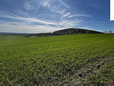Prodej  pole 38 675 m²