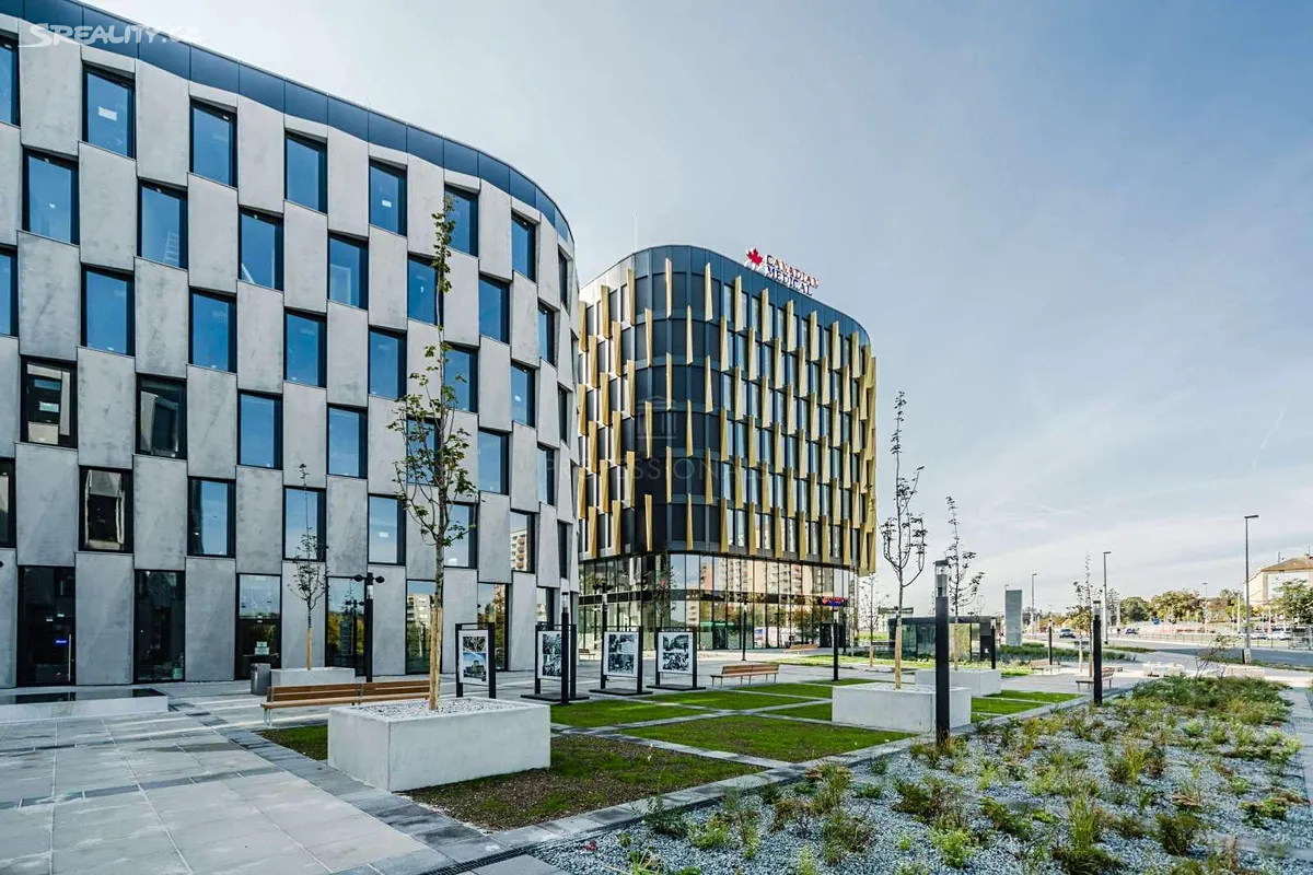 Pronájem kanceláře 447 m² – pohled 3