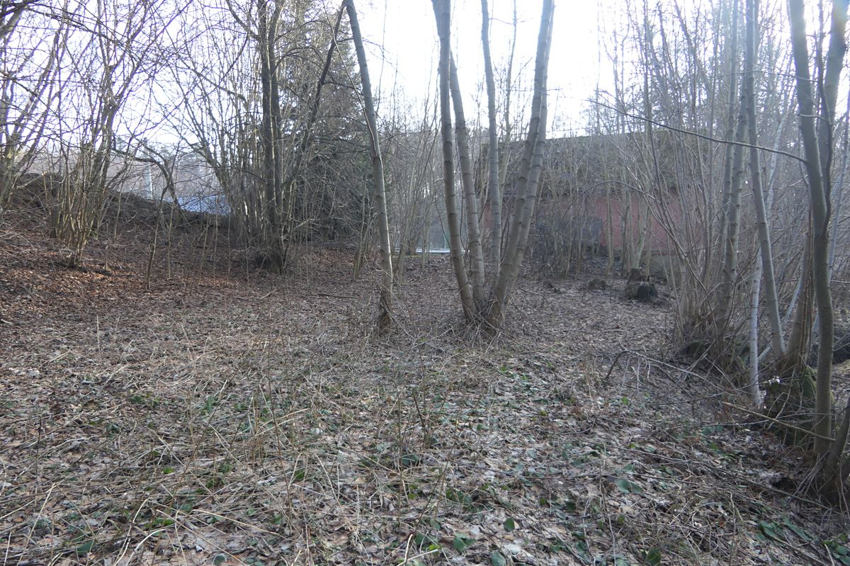 Prodej pozemku 471 m² – fotografie 2