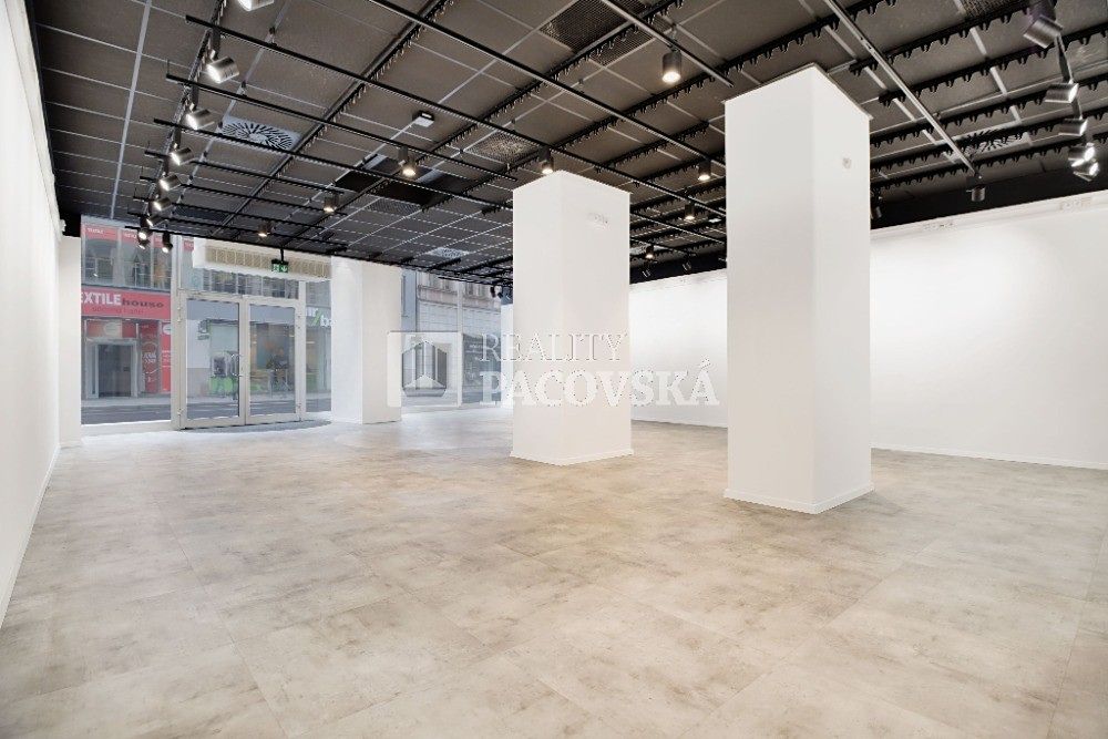 Pronájem obchodního prostoru 210 m² – fotografie 3