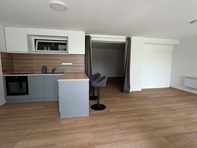 Pronájem bytu 1+kk, 53 m² (2 z 9)