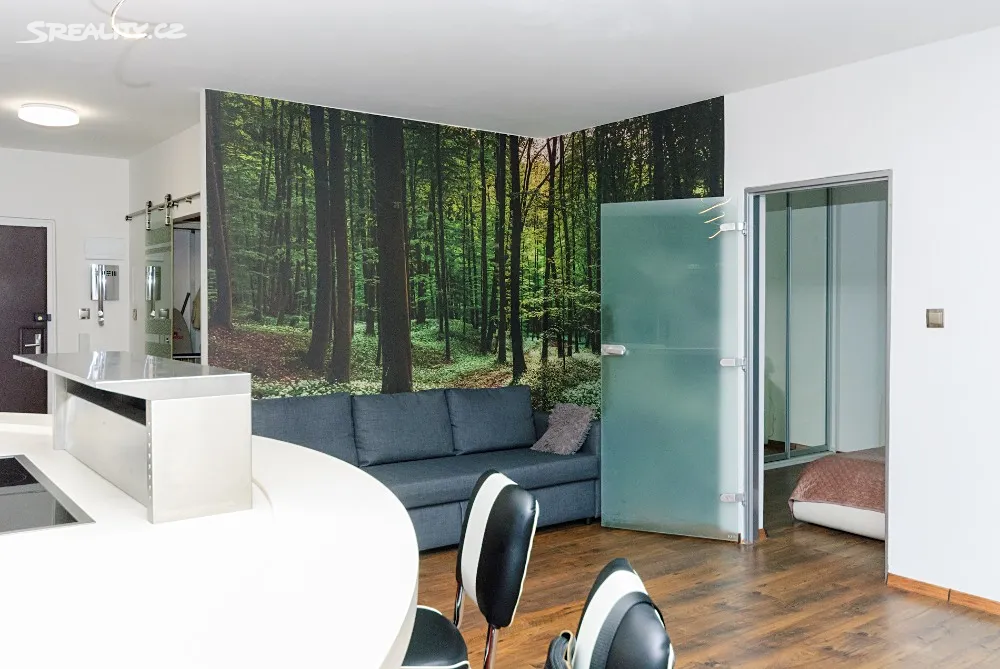 Pronájem bytu 2+kk 65 m² – pohled 4